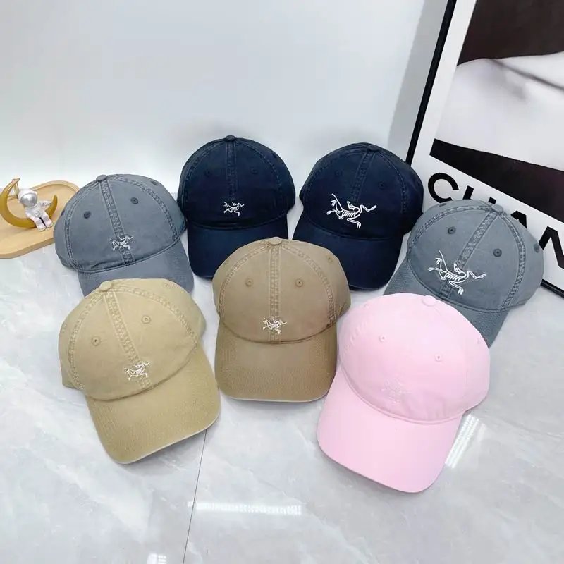 Arcteryx cap dx31